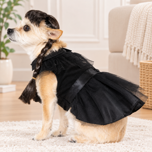 Gothic Girl Dog Costume
