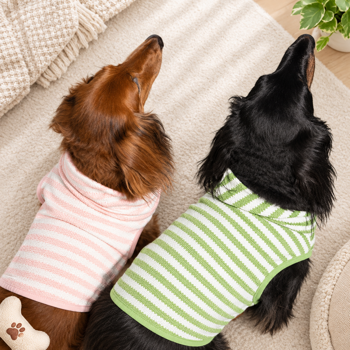 Striped Bubble Hem Dog Hoodie