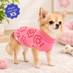 Smiling Daisy Dog Sweater
