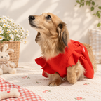 Strawberry Flutter Dog Dress