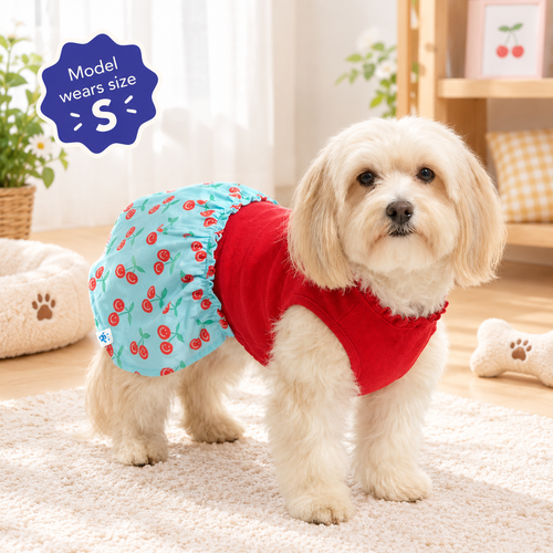 Cherry Ruffle Dog Dress